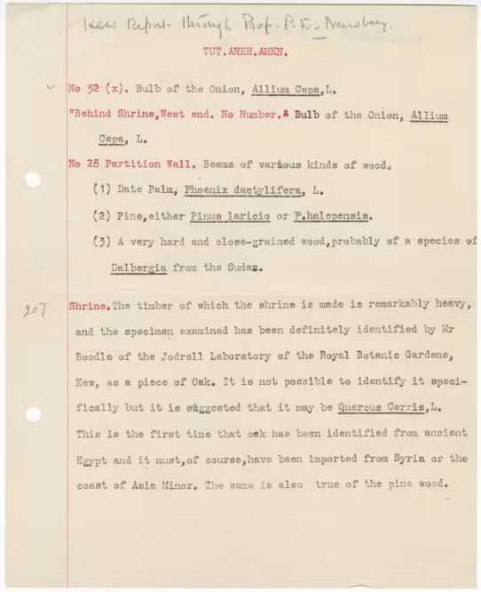 Typed notes on paper 