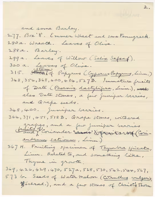 Handwritten notes on paper