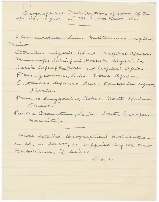 Handwritten notes on paper