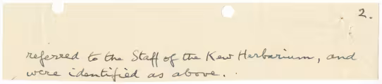 Handwritten notes on paper