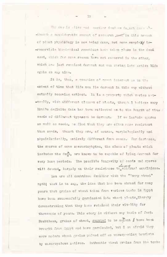 Typed notes on paper 