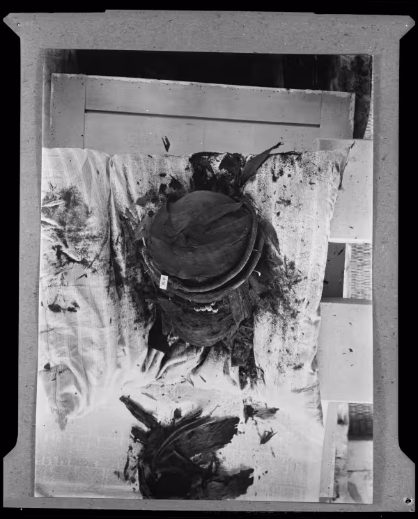 Image of negative of king's head disattached from mummy