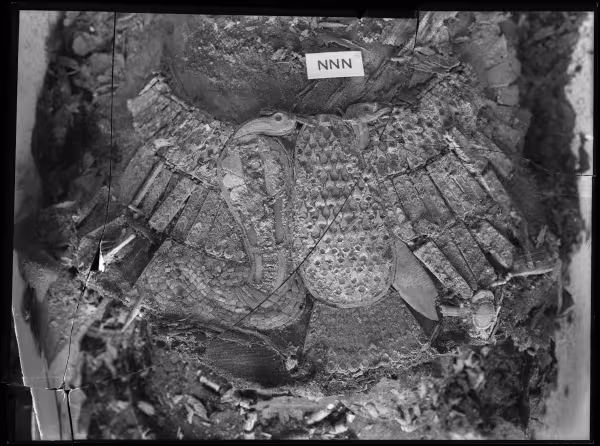 Image of negative of snake and vulture pectoral on the king's mummy