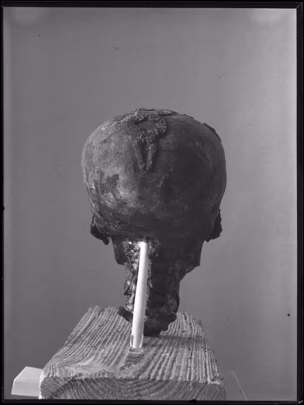 Image of negative of king's head disattached from mummy