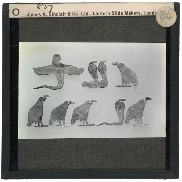 Image of lantern slide of eight flat amulets