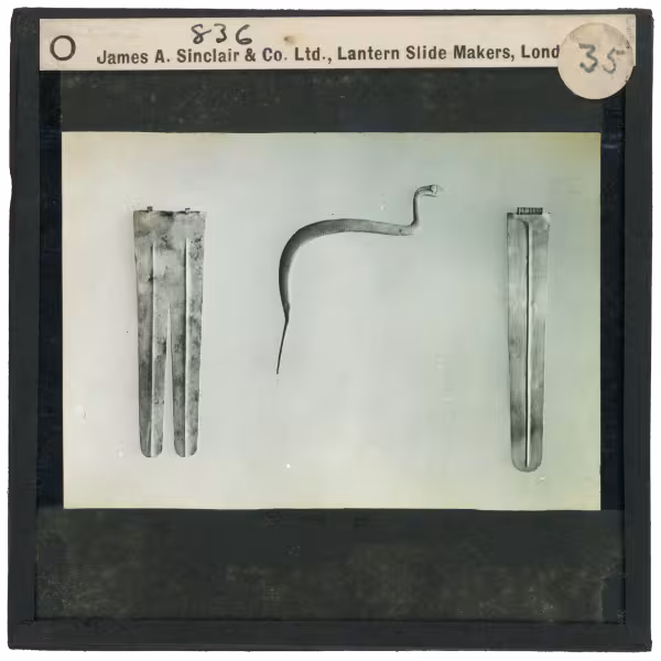 Image of lantern slide of three amulets