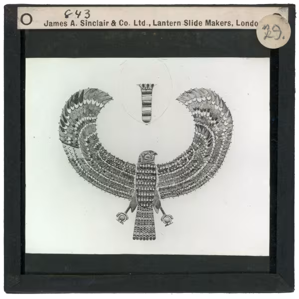 Image of lantern slide of falcon collar