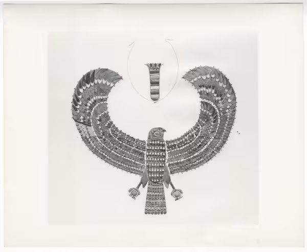 Image of print of falcon collar
