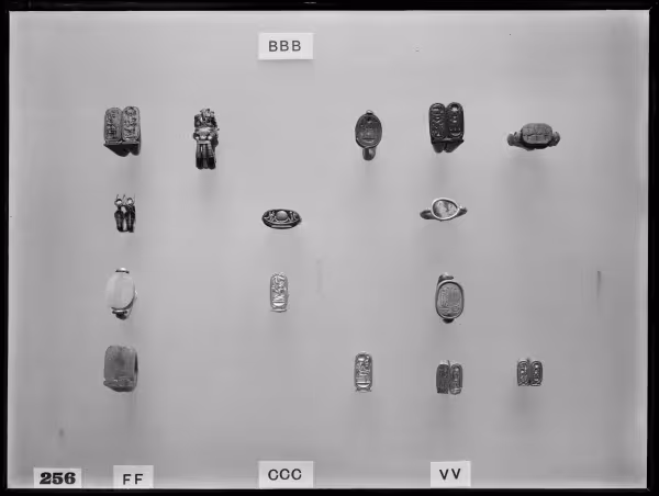 Image of negative of fifteen rings