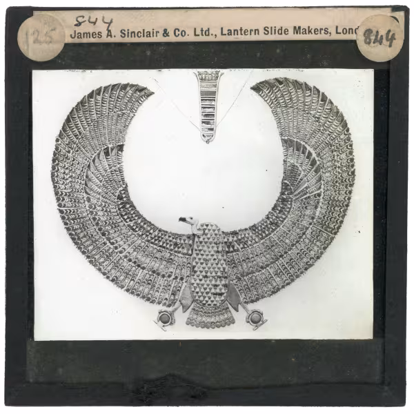 Image of lantern slide of vulture collar