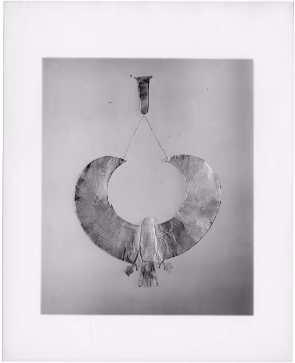 Image of print of vulture collar