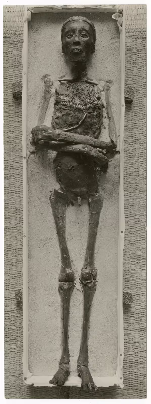 Image of print of king's mummy