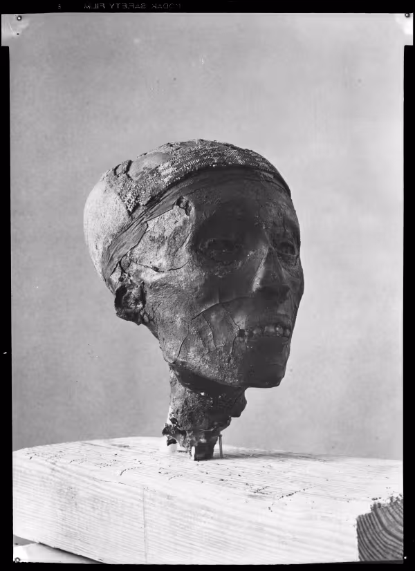 Tutankhamun mummy head