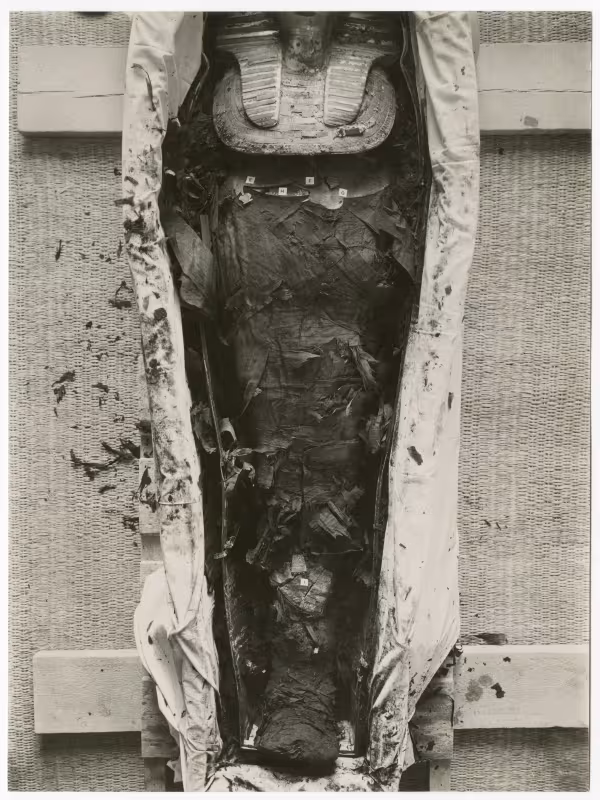 Image of print of king's mummy