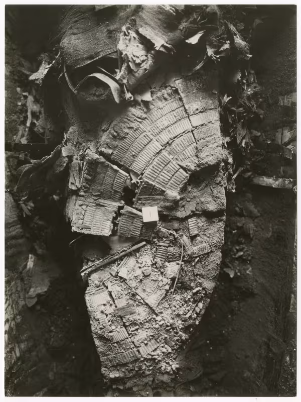 Image of print of king's mummy