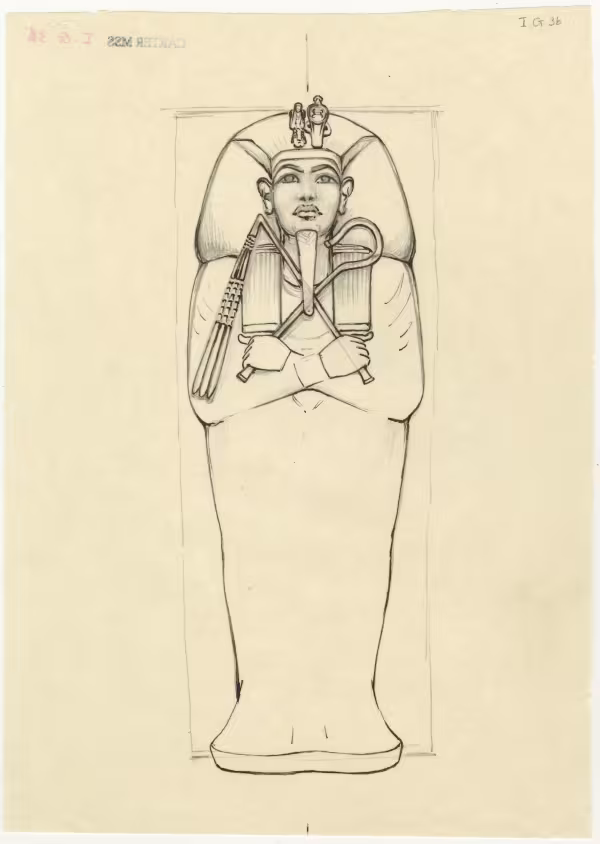 Draft plan of the lid of the first (outermost) coffin (Carter no. 253) in situ in the Burial chamber