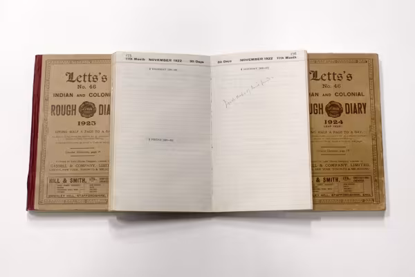 staged image showing a selection of diaries