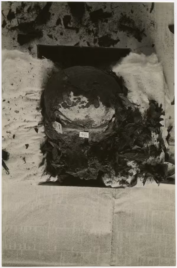 image of photographic print of king's head in object card