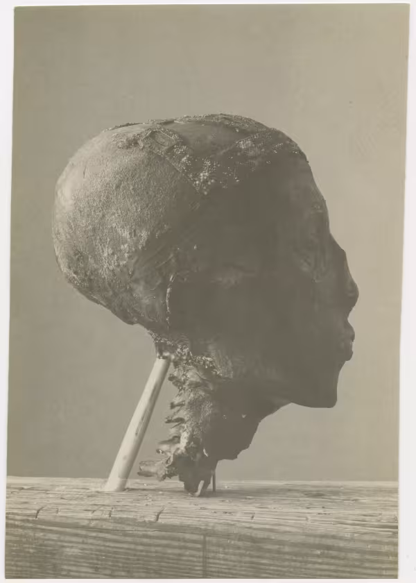 image of photographic print of king's head in object card