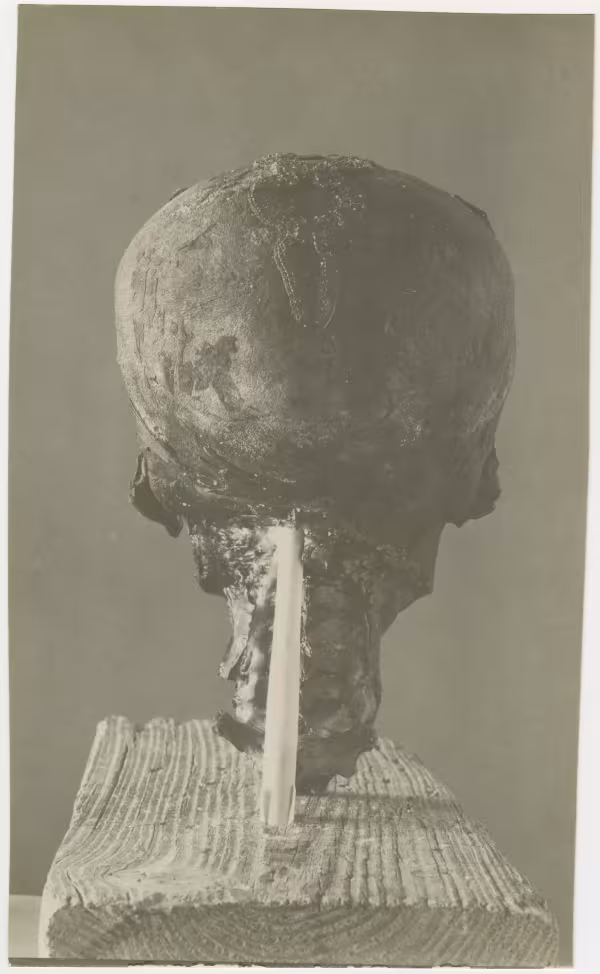 image of photographic print of back of king's head in object card