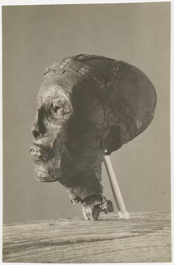 image of photographic print of king's head in object card