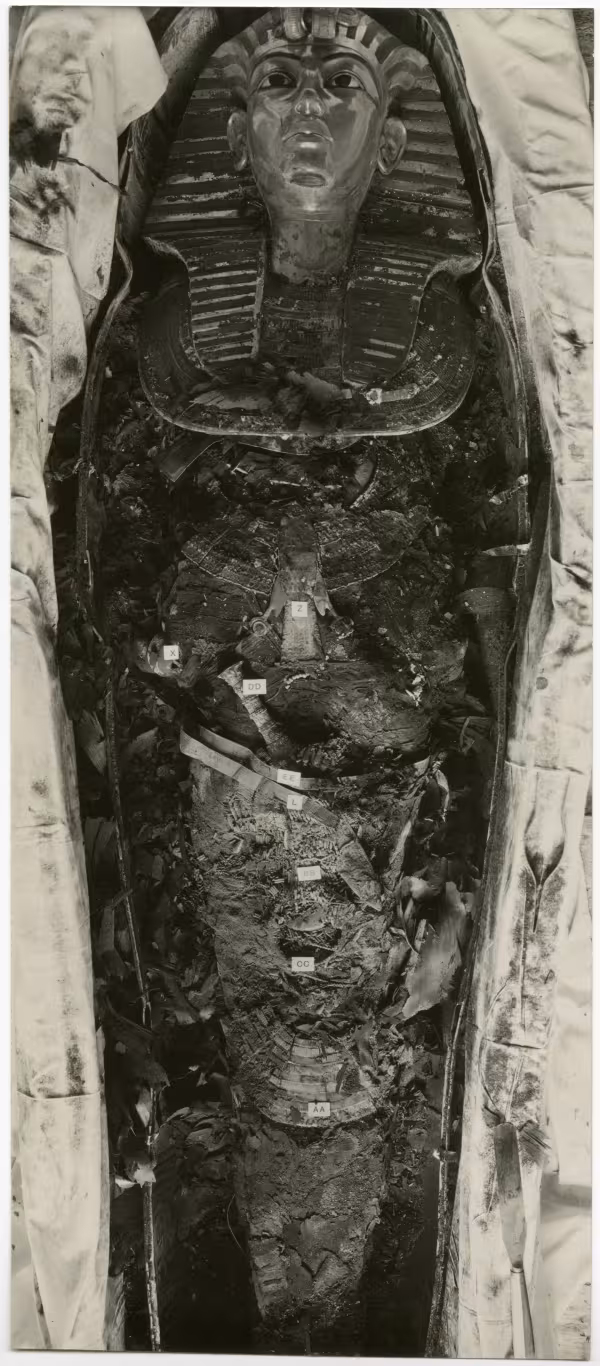 image of photographic print of king's mummy within coffin in object card