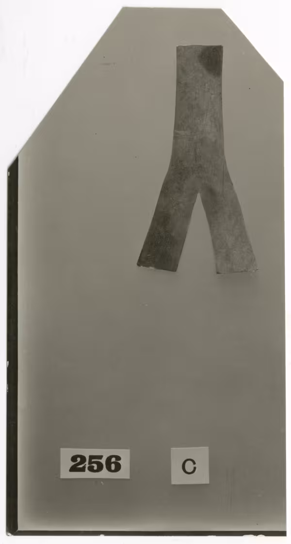 image of photographic print of y-shaped amulet in object card