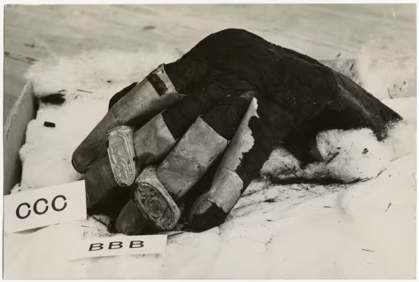 image of photographic print of king's hand with finger stalls and rings in object card