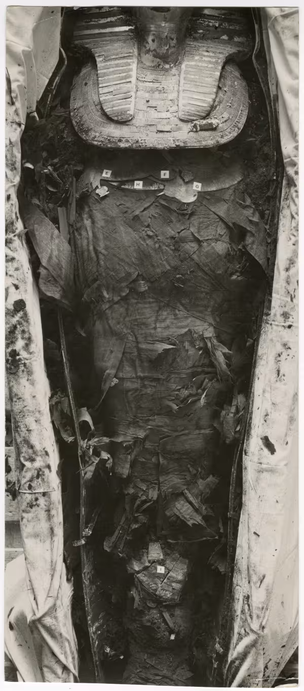 image of photographic print of king's mummy within coffin in object card