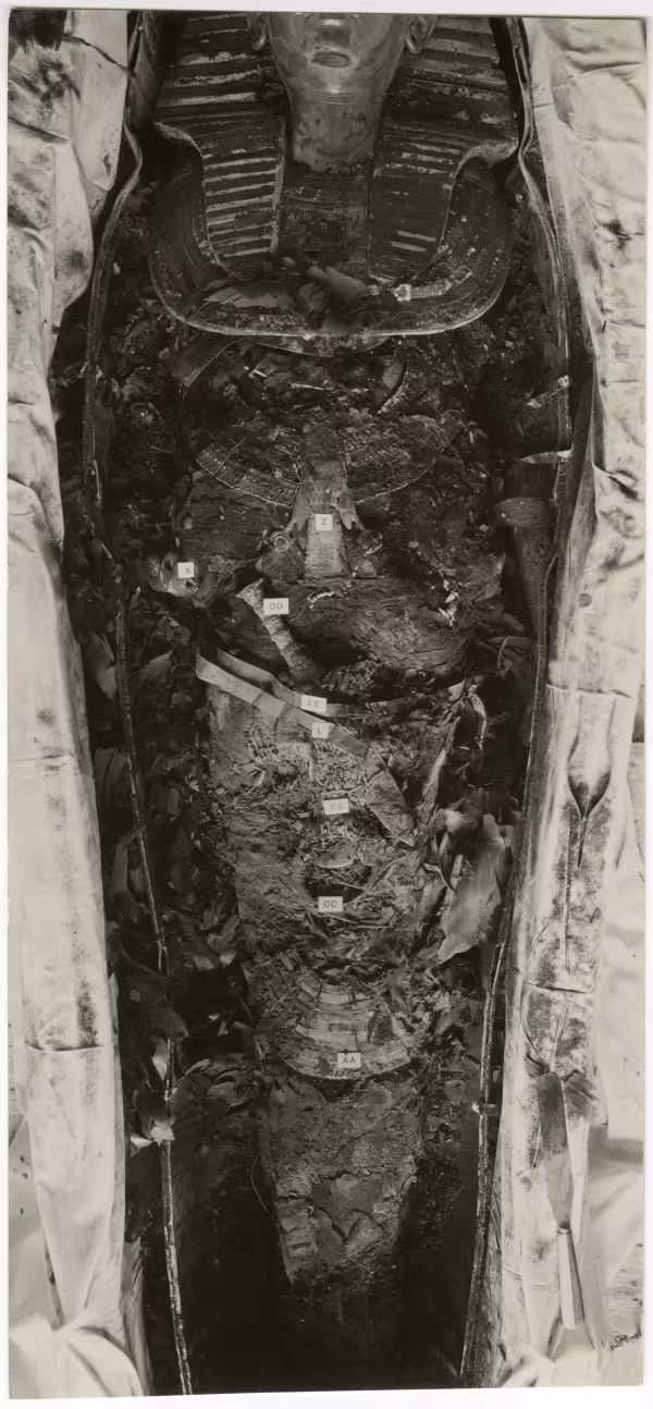 image of photographic print of king's mummy within coffin in object card