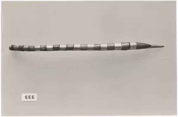 image of photographic print of tail in object card