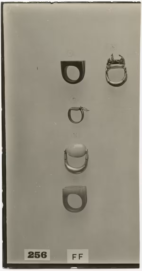 image of photographic print of rings in object card
