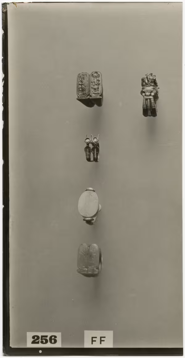 image of photographic print of rings in object card