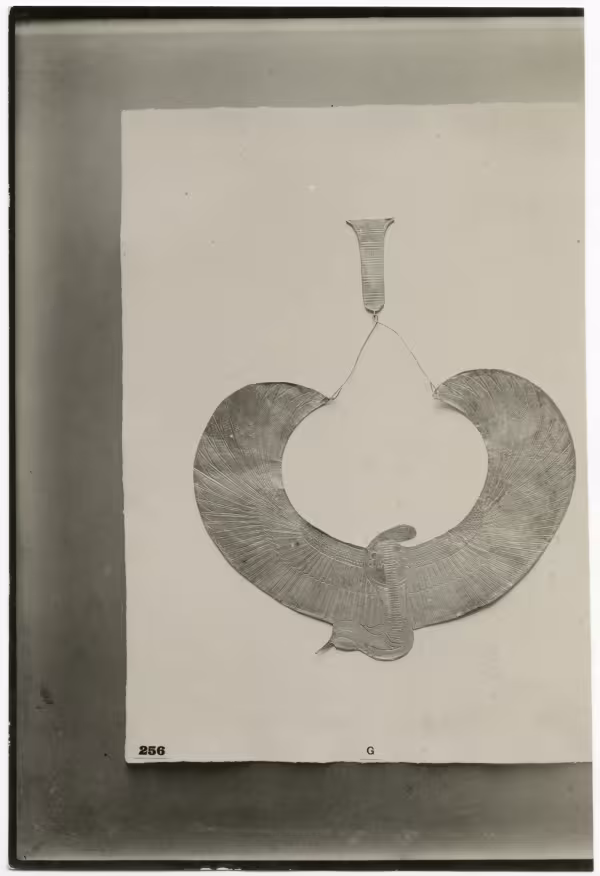 image of photographic print of gold cobra collar in object card