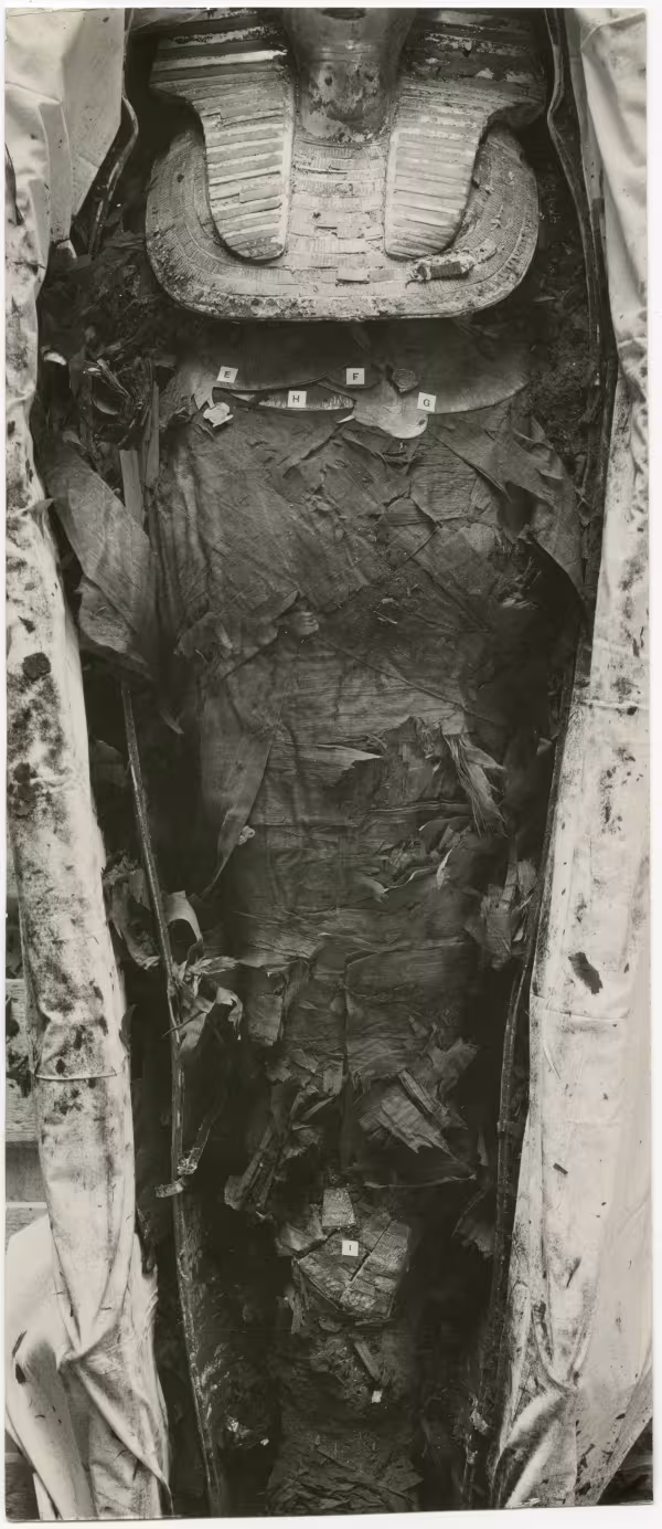 image of photographic print of king's mummy within coffin in object card
