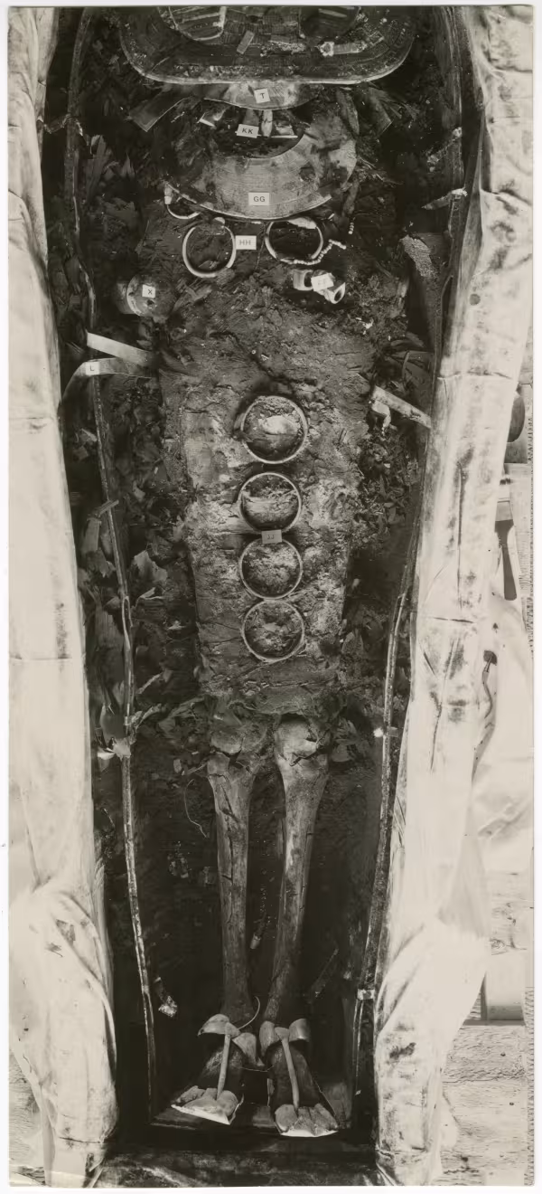 image of photographic print of king's mummy within coffin in object card