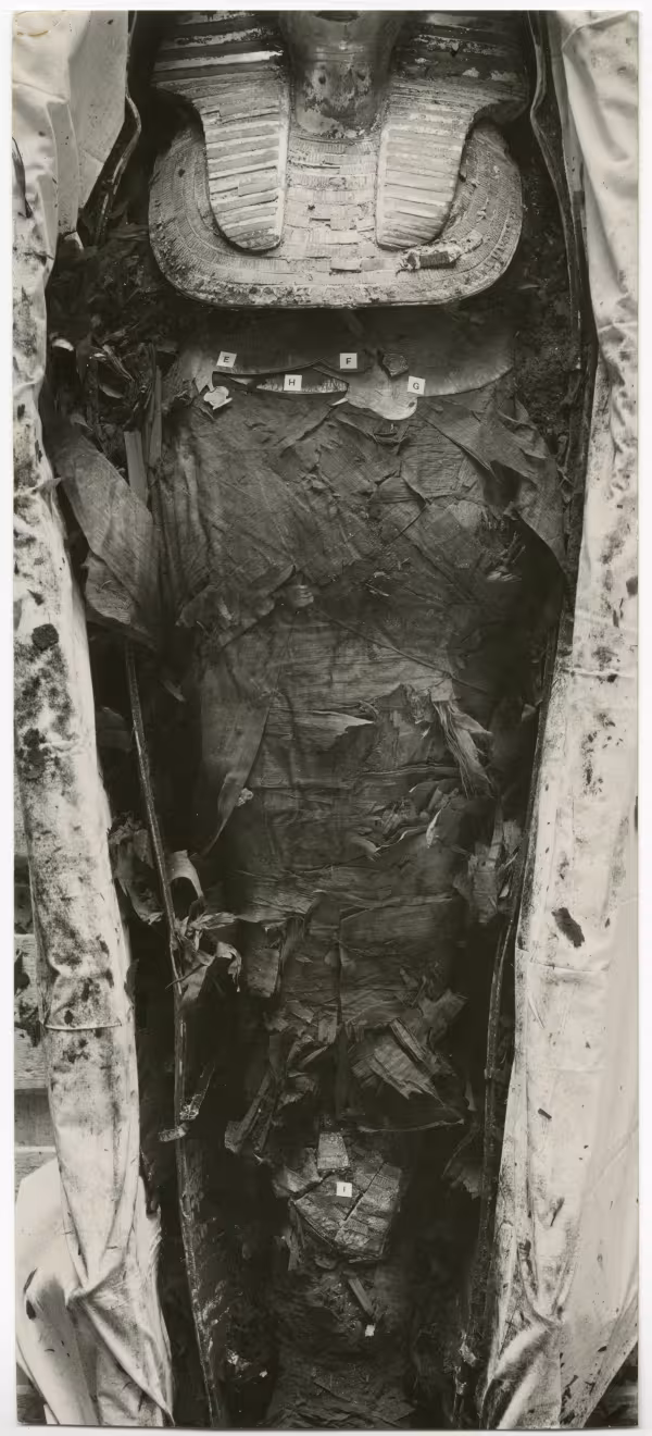 image of photographic print of king's mummy within coffin in object card