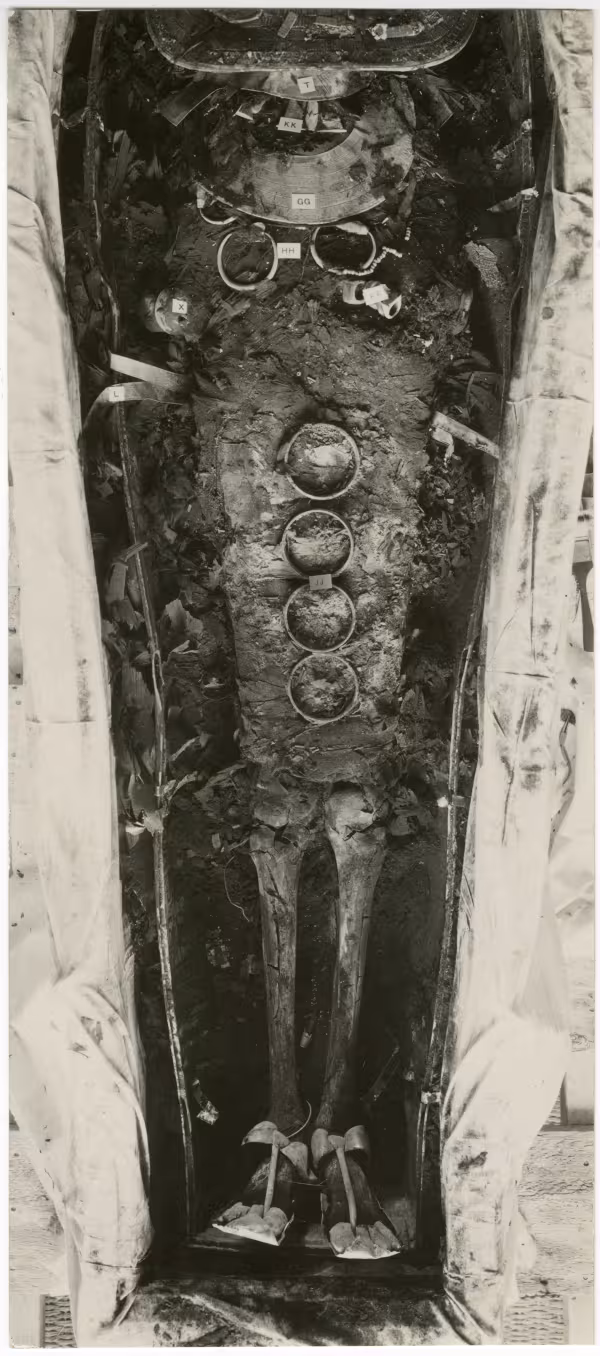 image of photographic print of king's mummy within coffin in object card