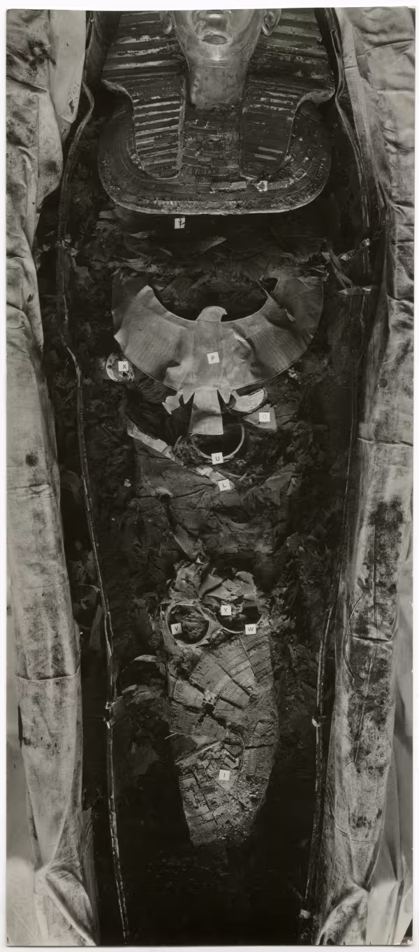 image of photographic print of king's mummy within coffin in object card