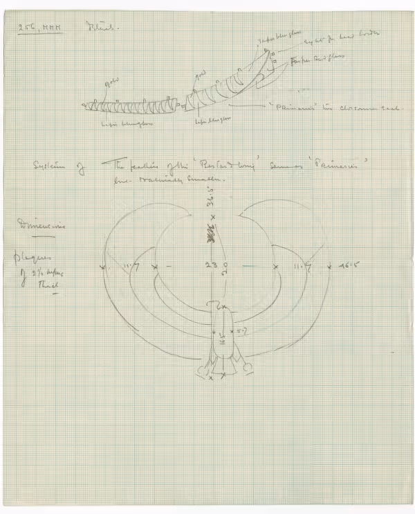 image of drawing in object card