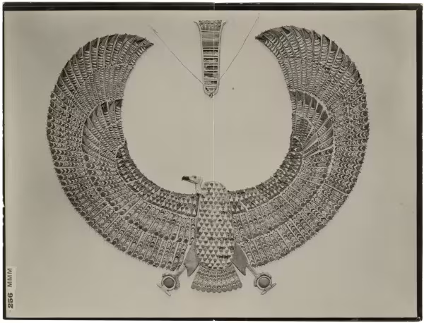 image of photographic print of vulture collar in object card