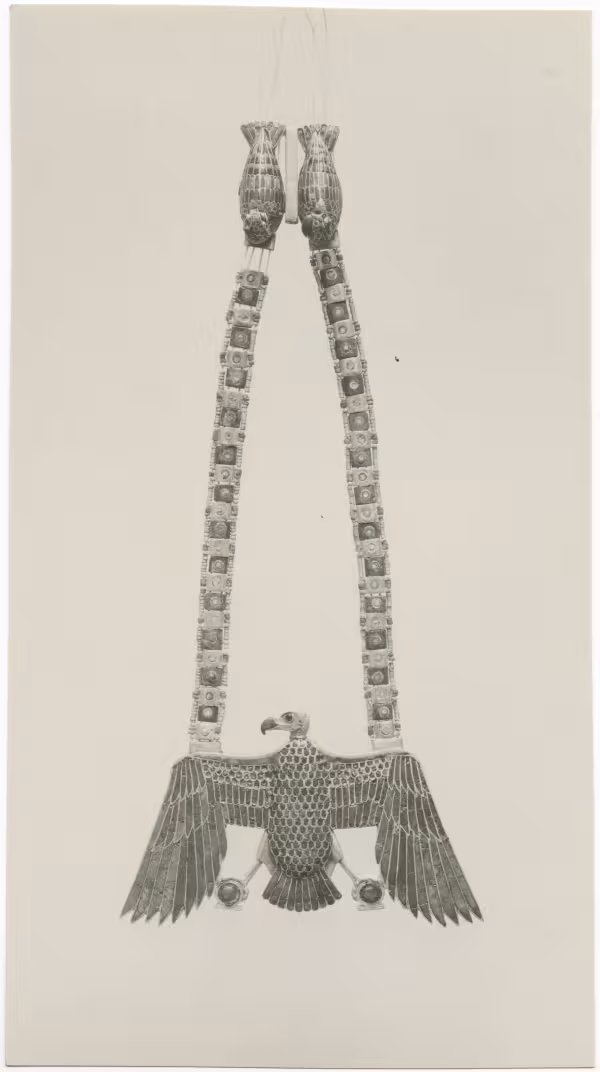 image of photographic print of vulture pectoral in object card