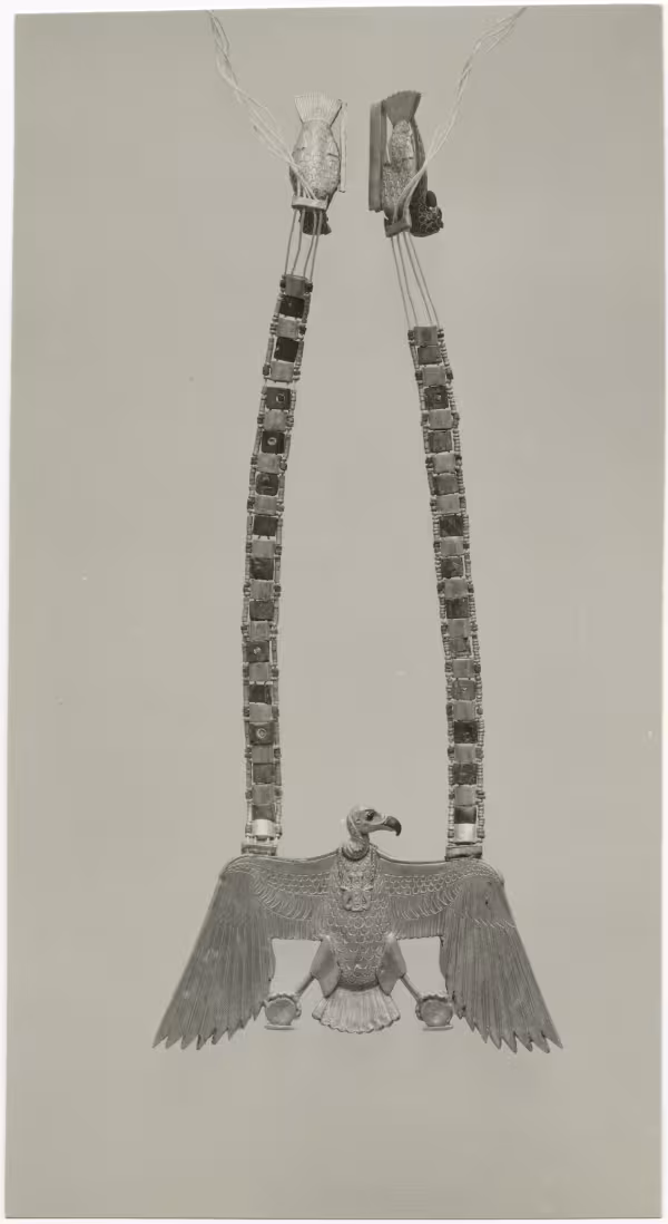 image of photographic print of vulture pectoral in object card