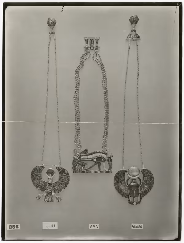 image of photographic print of pectorals in object card