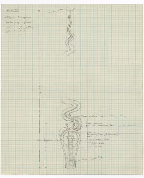 image of drawing in object card