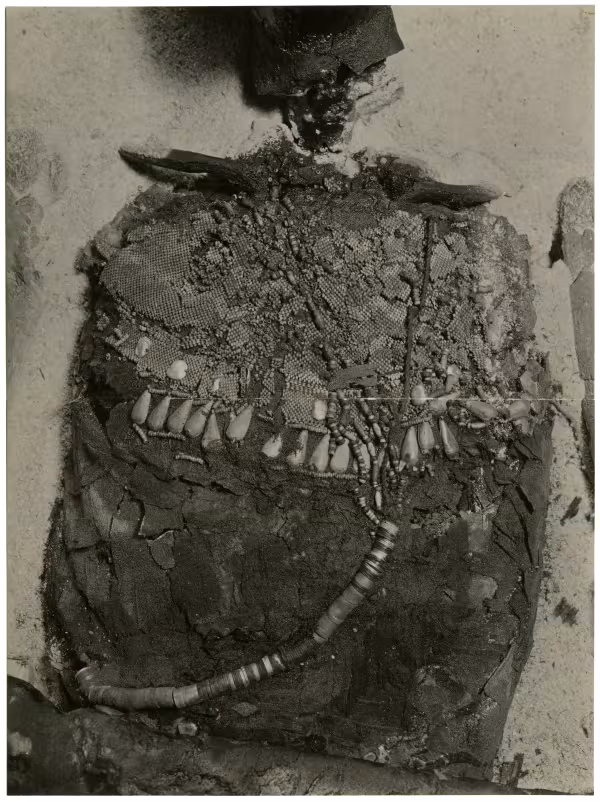 image of photographic print of torso of king's unwrapped body in object card