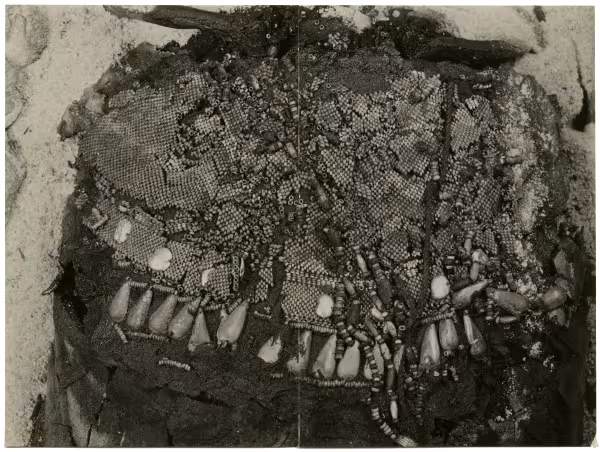 image of photographic print of torso of king's unwrapped body in object card
