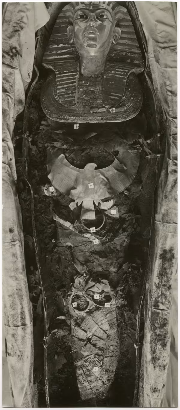 image of photographic print of king's mummy within coffin in object card