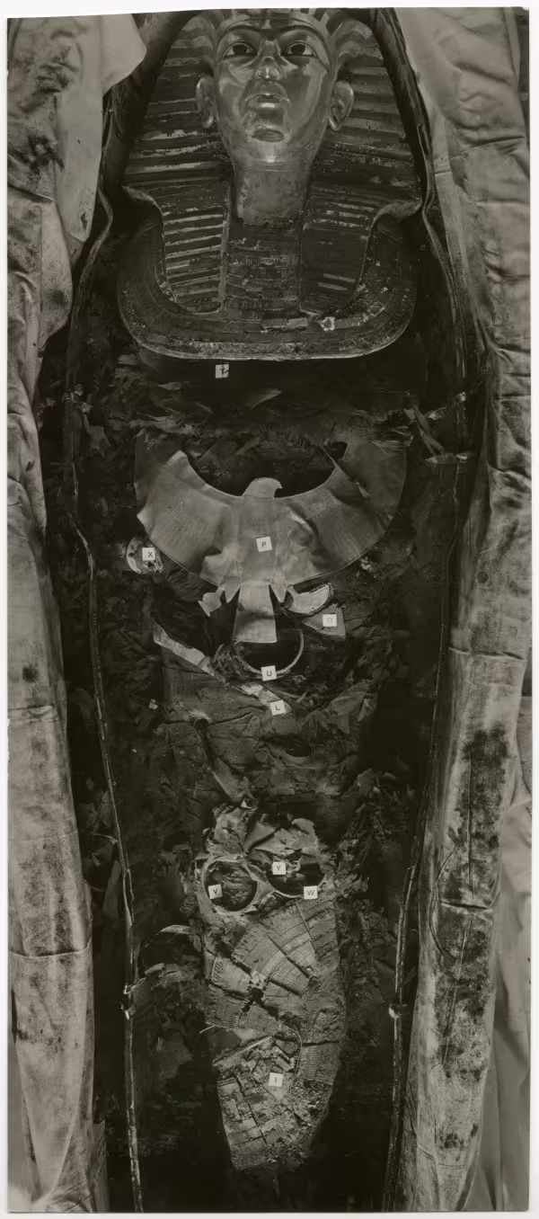 image of photographic print of king's mummy within coffin in object card