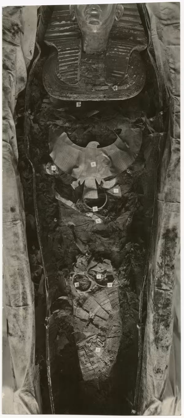 image of photographic print of king's mummy within coffin in object card